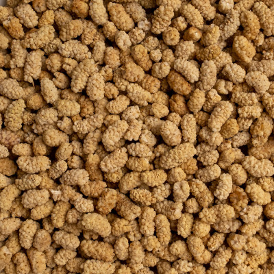 500gr pötürge dut kurusu 2025 mahsul