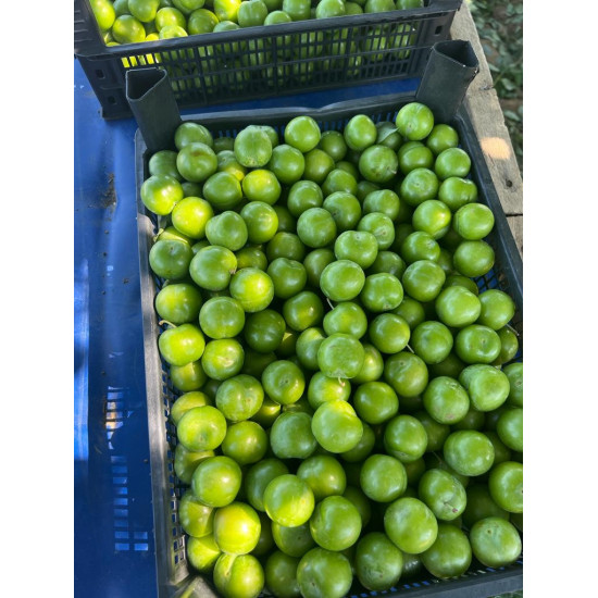 Ön sipariş dumanlı papaz erik 1 kg (kargolama...