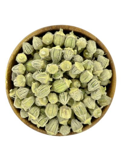 Bamya Kurusu (1 Dizi)