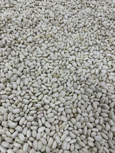 Yerli Tohum Kuru Fasulyesi 1 Kg