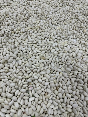 Yerli Tohum Kuru Fasulyesi 1 Kg