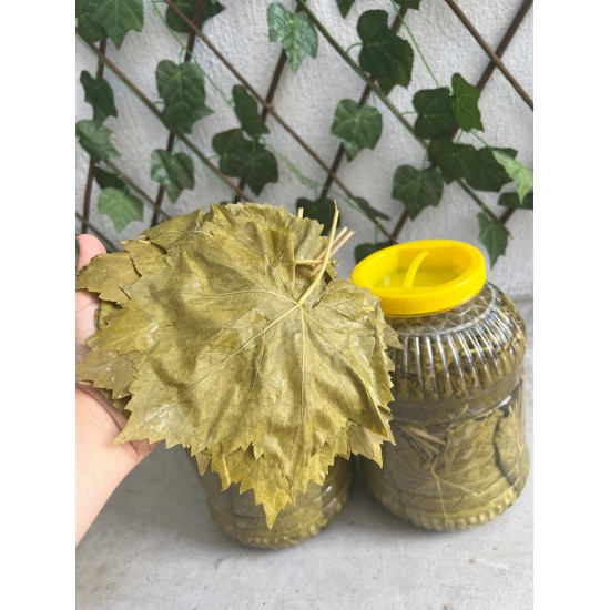 3x5Kg (Pet) Salamura Uç Yaprak 2026 sezon ön...