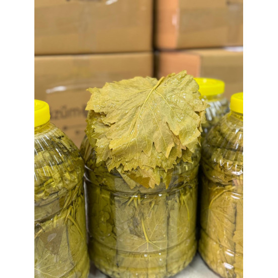 Salamura Uç Yaprak 5Kg (Pet) 2025 yeni mahsul