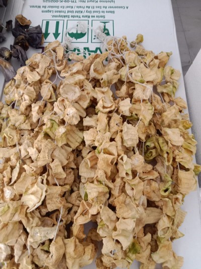 Dolmalık Kabak 1 dizi