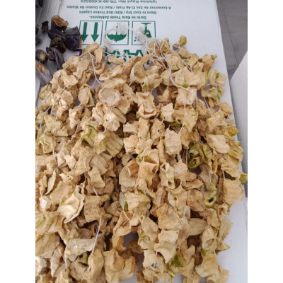 Dolmalık Kabak 1 dizi