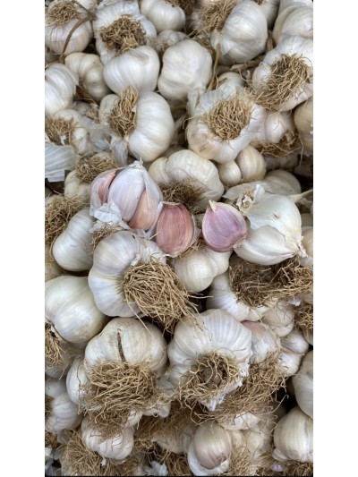 Taşköprü sarımsak 1kg