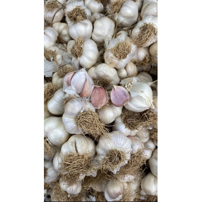 Taşköprü sapsız sarımsak 1kg