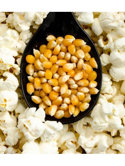 Patlatmalık Yerli Tohum Mısır 1000gr