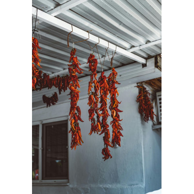 Kızartmalık Sivri Kuru Biber