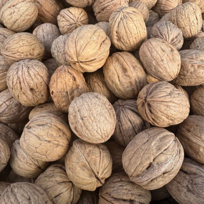 İnce Kabuklu Chandler Ceviz 1kg (2025 mahsul)