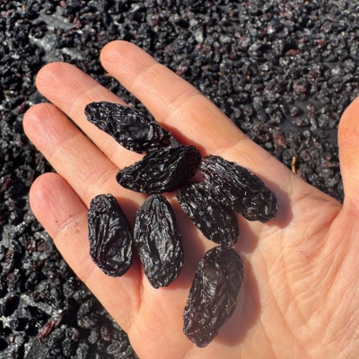 Antep Karası Çekirdekli Siyah İri Tane Kuru Üzüm 1Kg