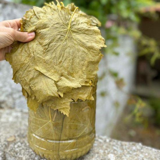 Salamura Uç Yaprak 3Kg (Pet) 2025 sezon