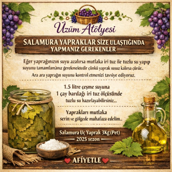 Salamura Uç Yaprak 5Kg (Pet) 2026 sezon ön sipariş