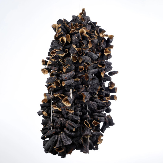 Kuru Dolmalık Patlıcan 1 Dizi