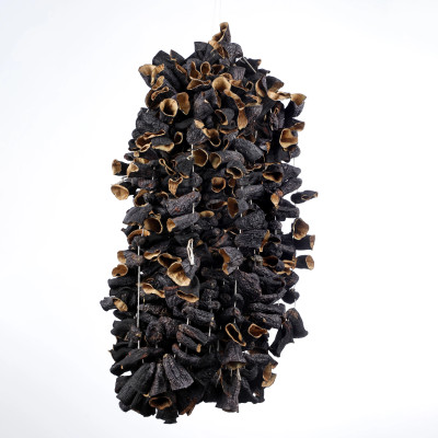 Kuru Dolmalık Patlıcan 1 Dizi