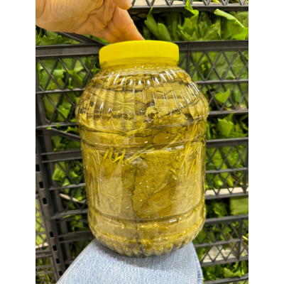 2x5Kg (Pet) Salamura Uç Yaprak 2026 sezon ön sipariş