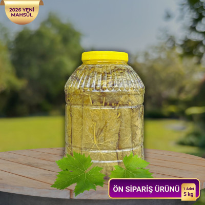 Salamura Uç Yaprak 5Kg (Pet) 2026 sezon ön sipariş