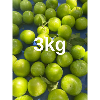 Ön sipariş dumanlı papaz erik 3 kg (kargolama 18 Mayıs 2026 haftası)