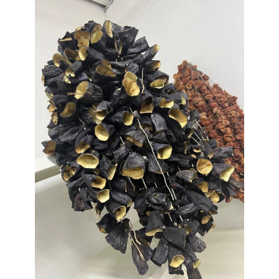 Kuru Dolmalık Patlıcan 1 Dizi